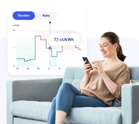 Moteris tikrina elektros kainas 